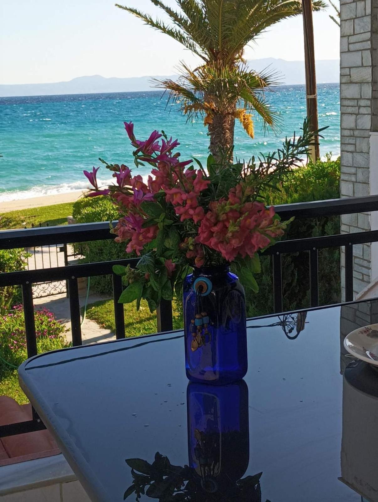 Cozy Maisonette In Pefkochori Chalkidiki エクステリア 写真